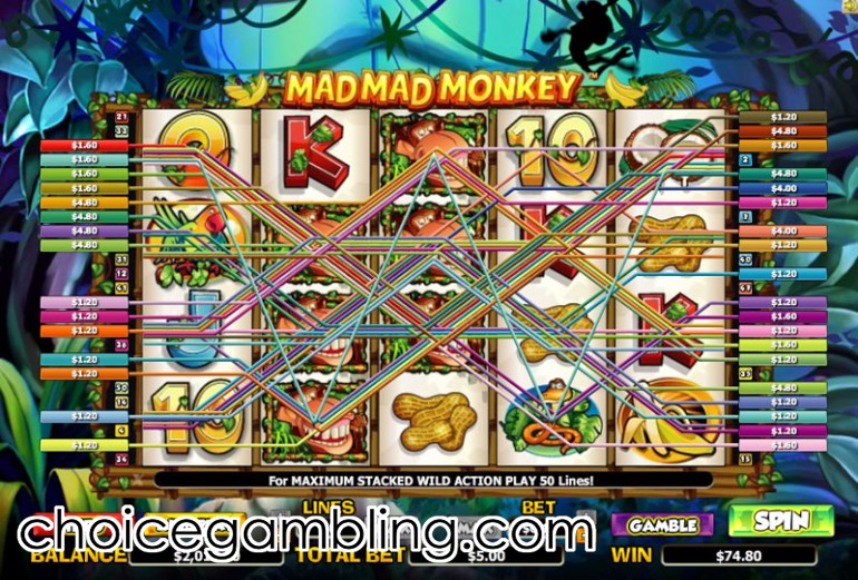 Mad Mad Monkey Slot